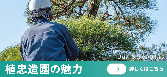 植忠造園の魅力